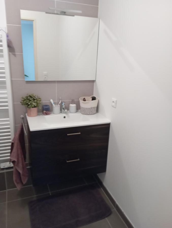 Chambre Nature Chez L'Habitant Στρασβούργο Εξωτερικό φωτογραφία